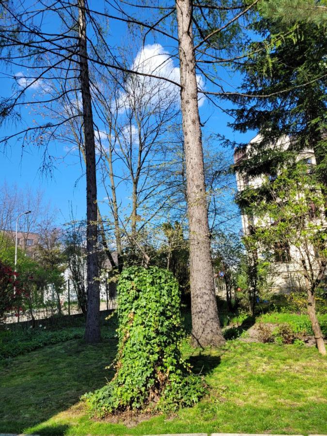 Cichy Apartament W Centrum Nowy Sącz Exterior foto